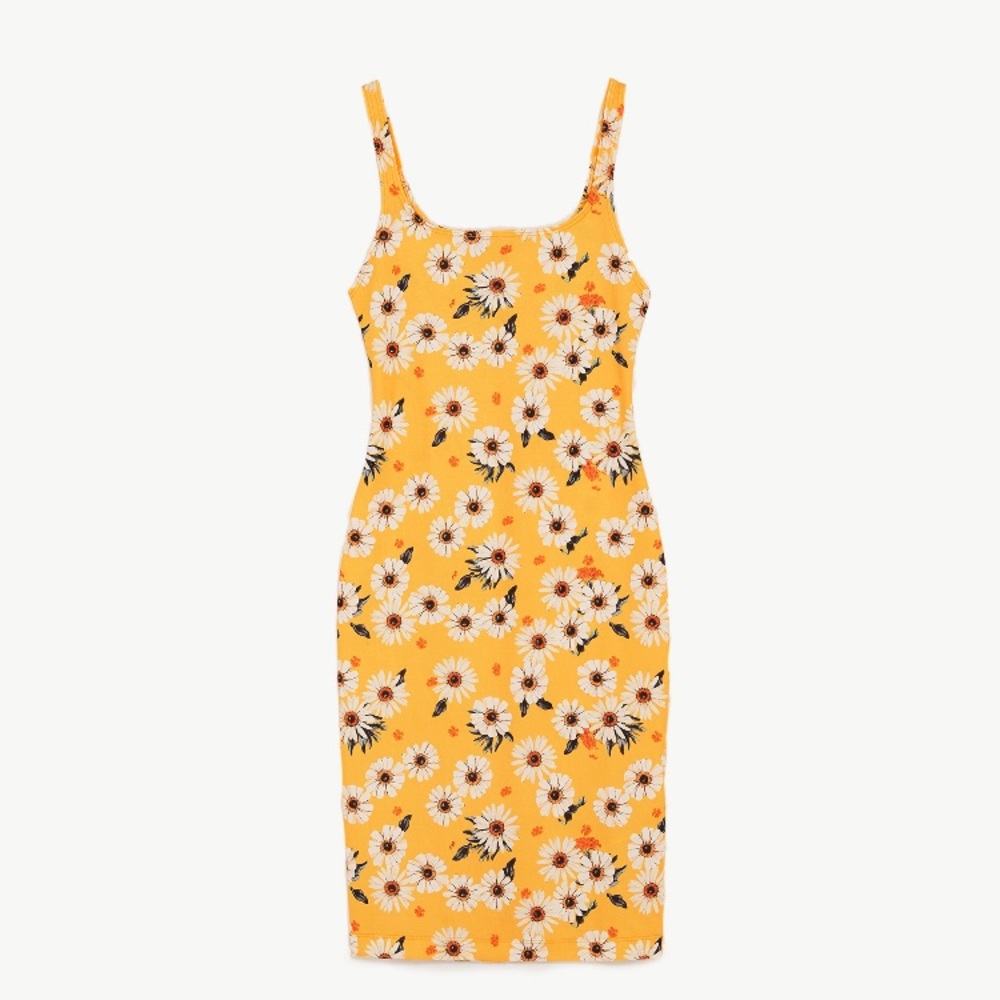 ZARA bodycon midi dress
